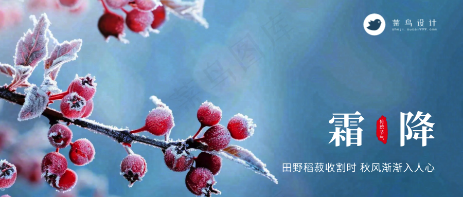 霜降公众号首图