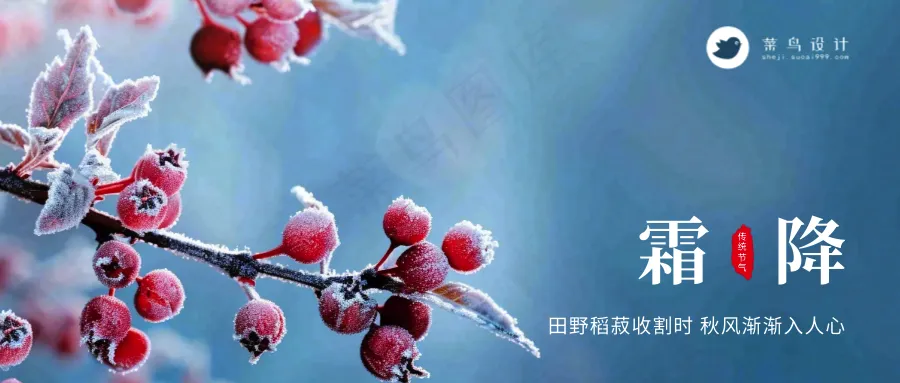 霜降公众号首图