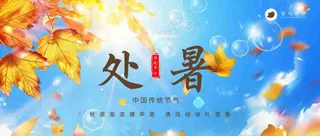 处暑公众号首图