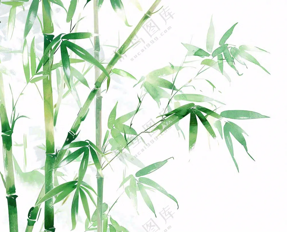 绿竹竹子绿植水墨画插画免抠