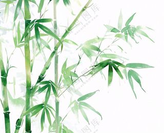 绿竹竹子绿植水墨画插画免抠