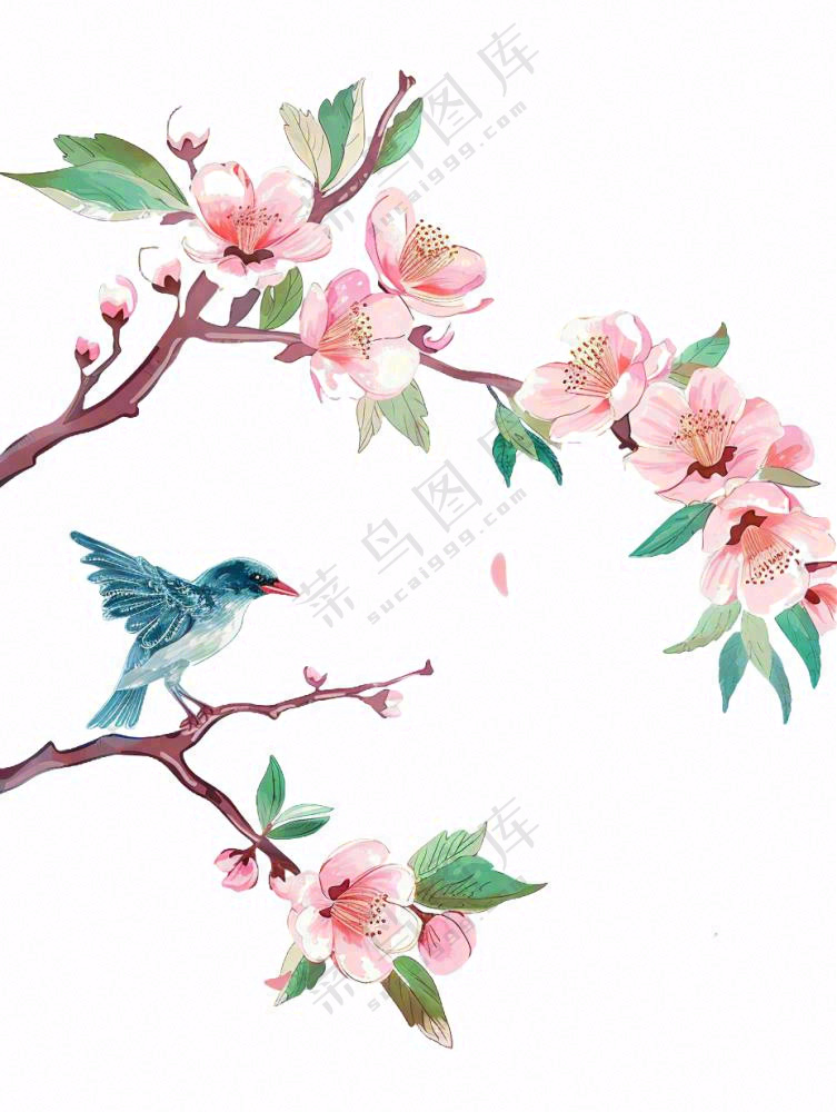 春天桃花树上小鸟喜鹊插画免抠
