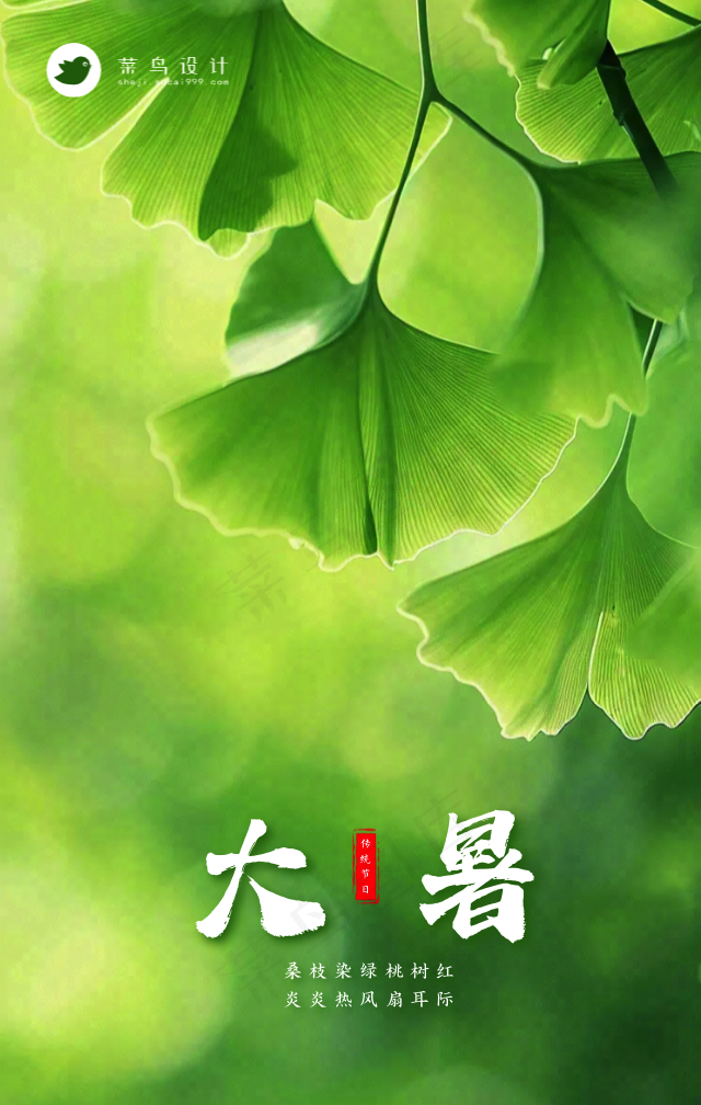 大暑手机海报