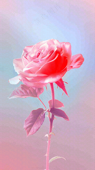 渐变玫瑰花创意插画情人节背景