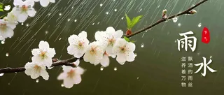 雨水公众号首图