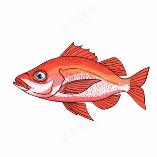 海洋鱼类海鲜卡通插画免抠
