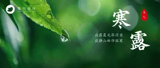 寒露公众号首图