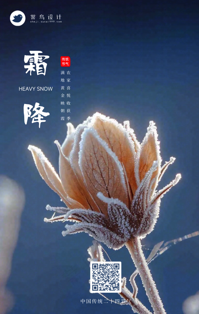 大雪手机海报
