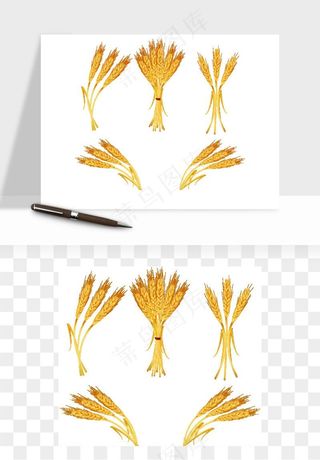 手绘麦穗稻穗麦秆矢量png免抠