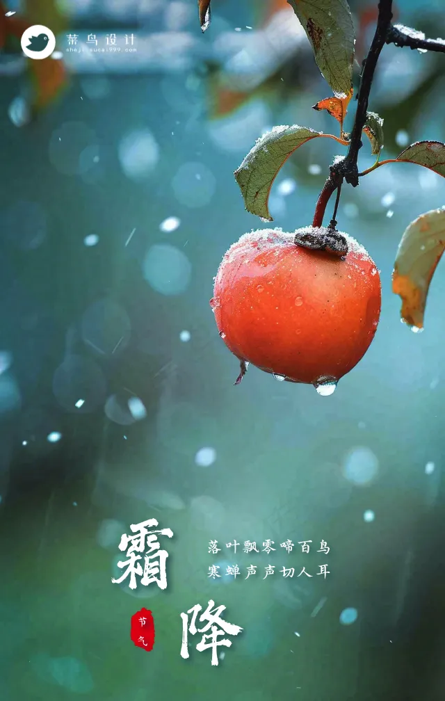 霜降手机海报