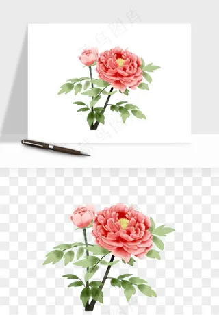 手绘国潮牡丹花花卉图案png免抠