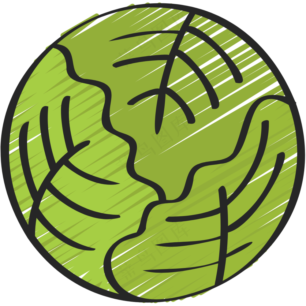 圆包菜 cabbage 绿色健康食品 铅笔手绘图标