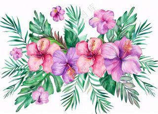 花艺插画植物花朵水彩免抠