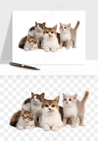 猫咪喵星人狗狗宠物元素png免抠