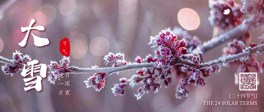 大雪公众号首图