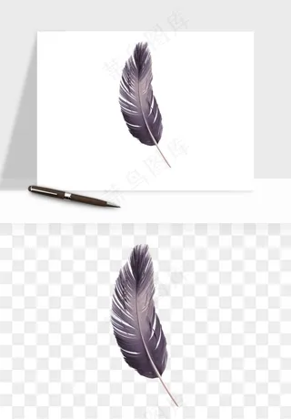白羽毛漂浮彩色羽毛png免抠
