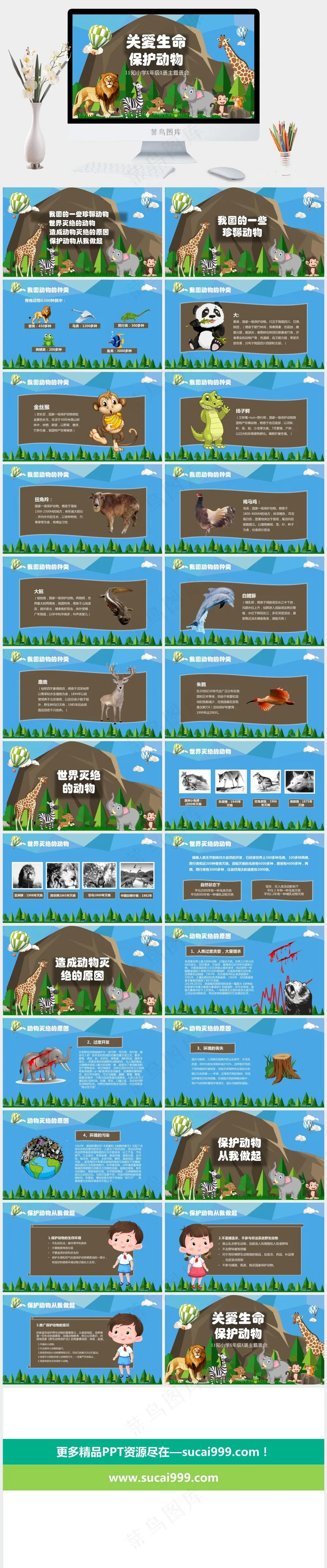 保护野生动物生态环境保护PPT 保护野生动物生态环境保护PPT