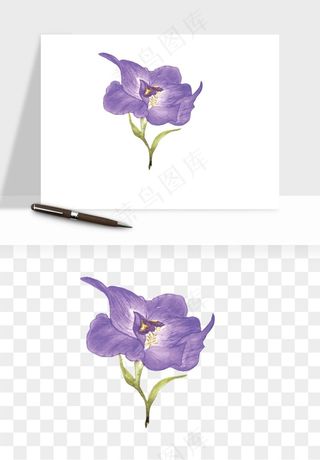 水彩复古植物花卉png免抠