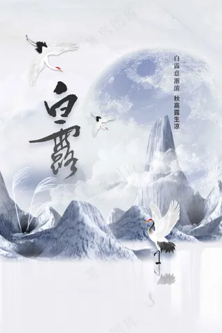 白露节气传统活动海报