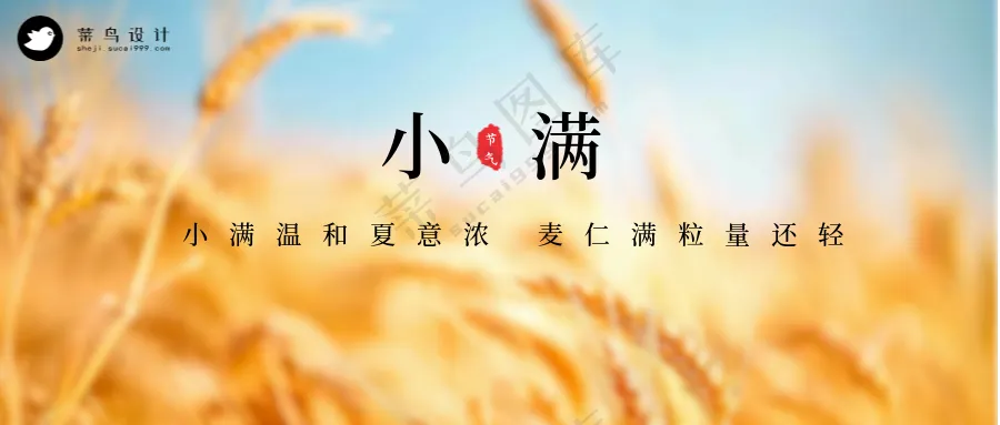 小满公众号首图