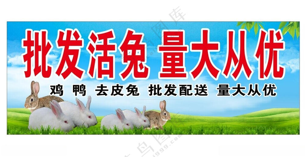 批发兔子红烧兔肉属兔