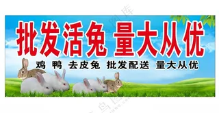 批发兔子红烧兔肉属兔