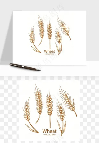 手绘麦穗稻穗麦秆矢量png免抠