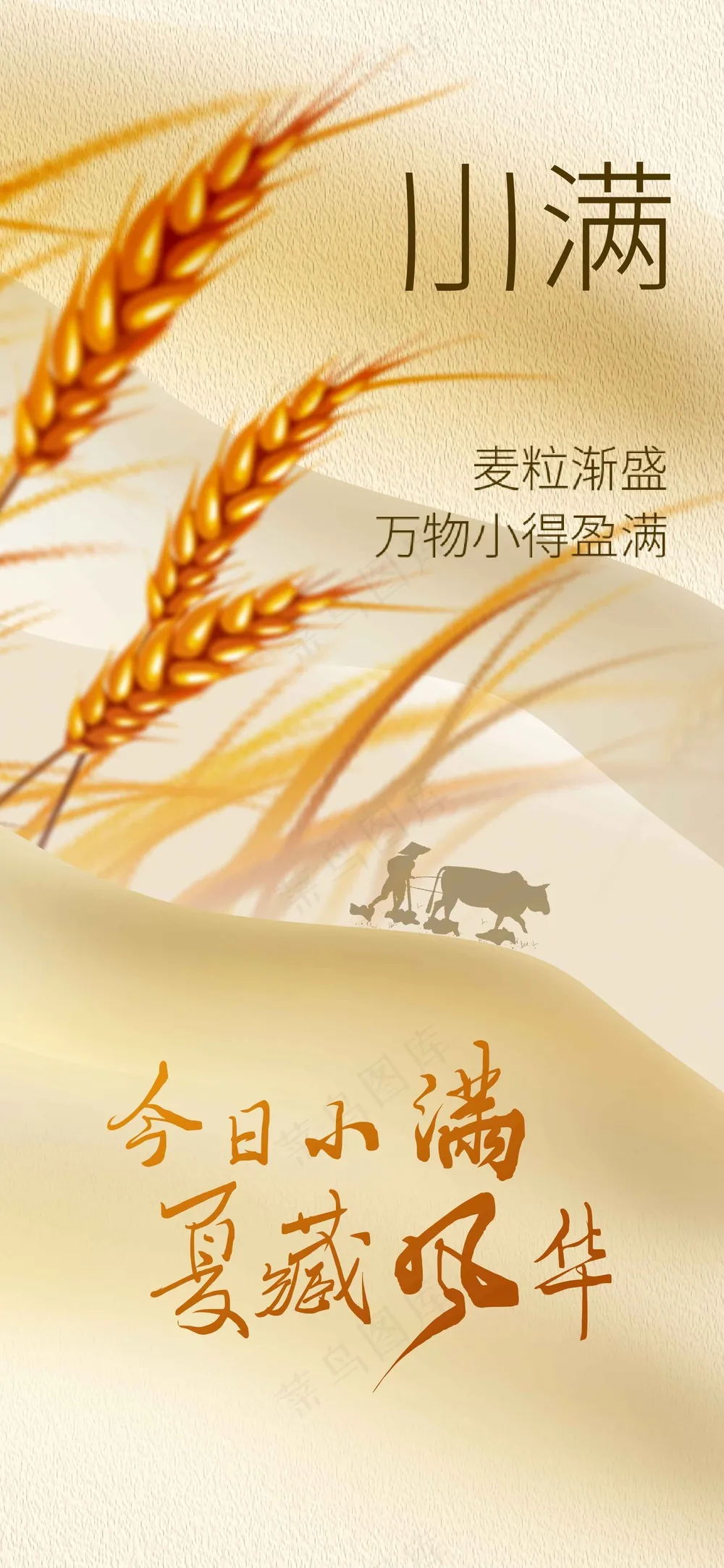 小满节气传统活动海报