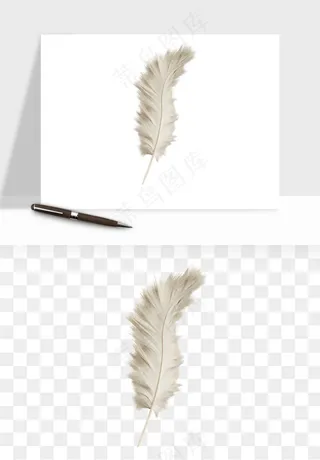 白羽毛漂浮彩色羽毛png免抠