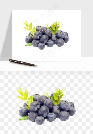 蓝莓水果png免抠