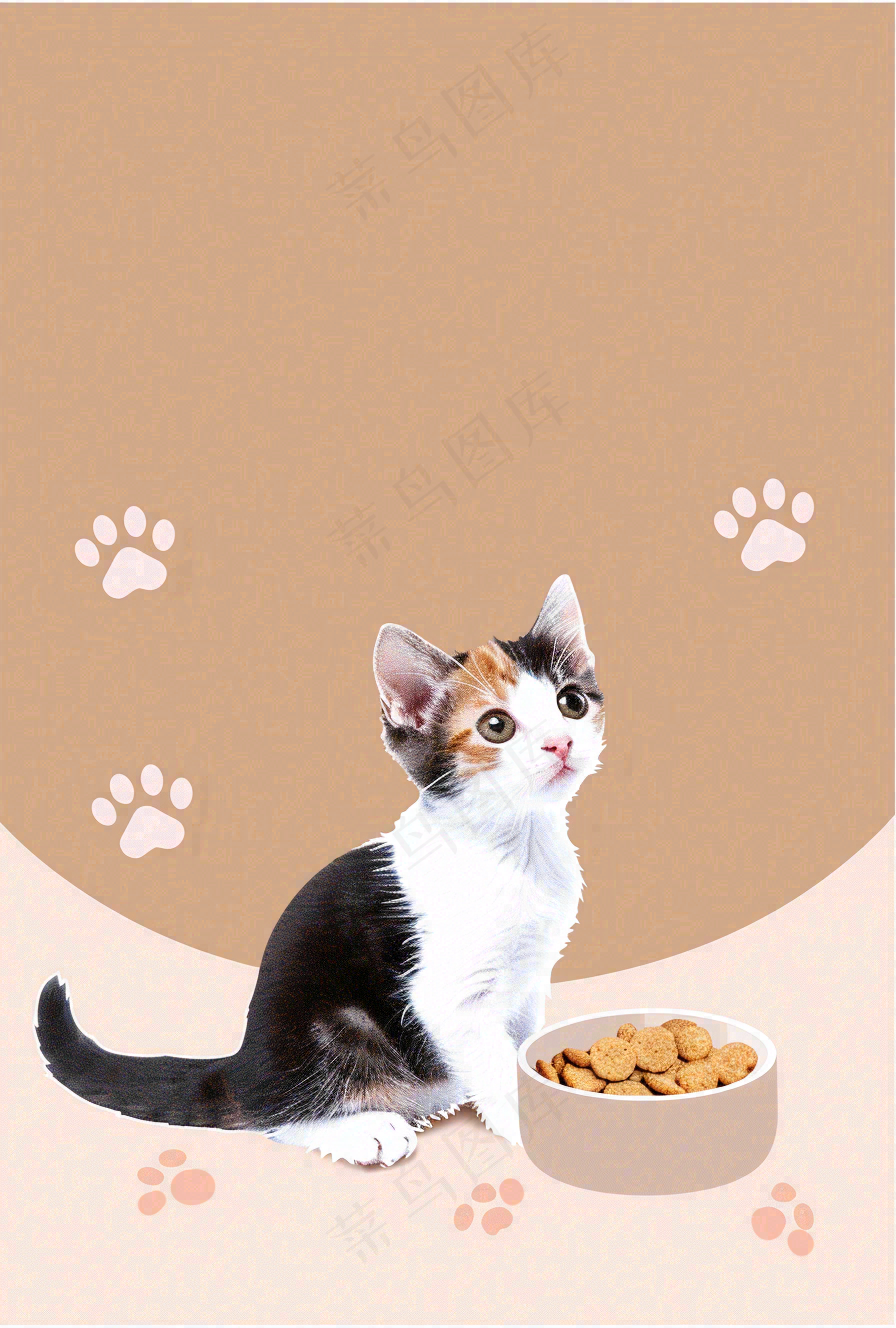 宠物常识宠物攻略猫狗卡通插画背景