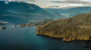 绿野仙踪：森林湖泊的宁静韵致