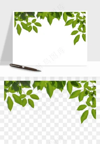 绿叶虚化前景树枝png免抠