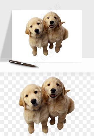 猫咪喵星人狗狗宠物元素png免抠