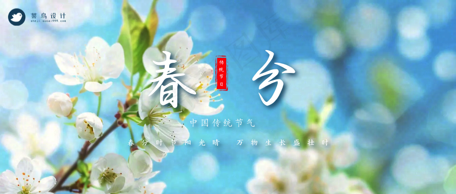 春分公众号首图