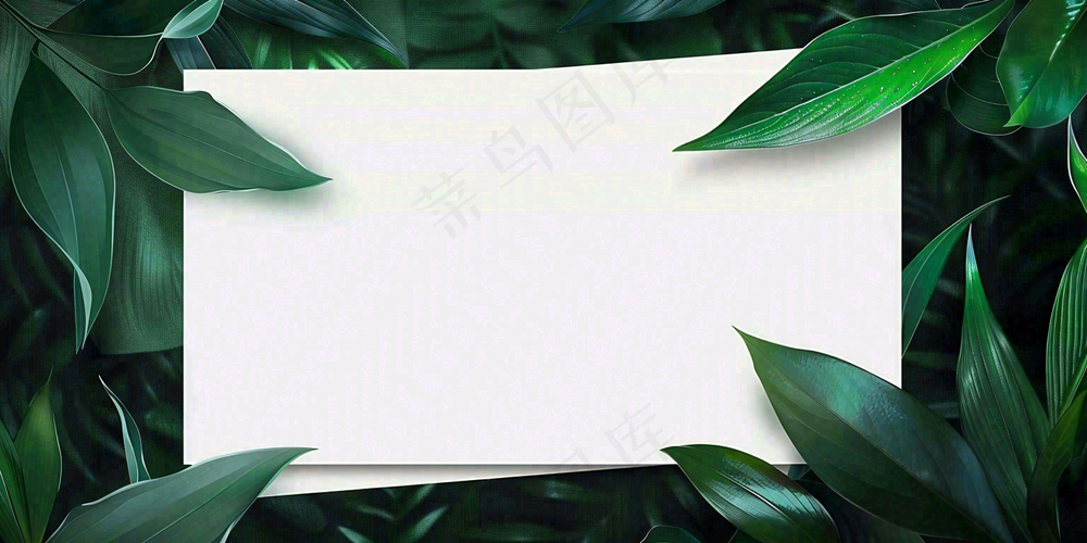 绿叶粽叶绿色边框白色信封端午节插画背景