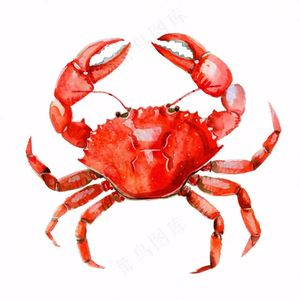 螃蟹海洋动物卡通插画免抠
