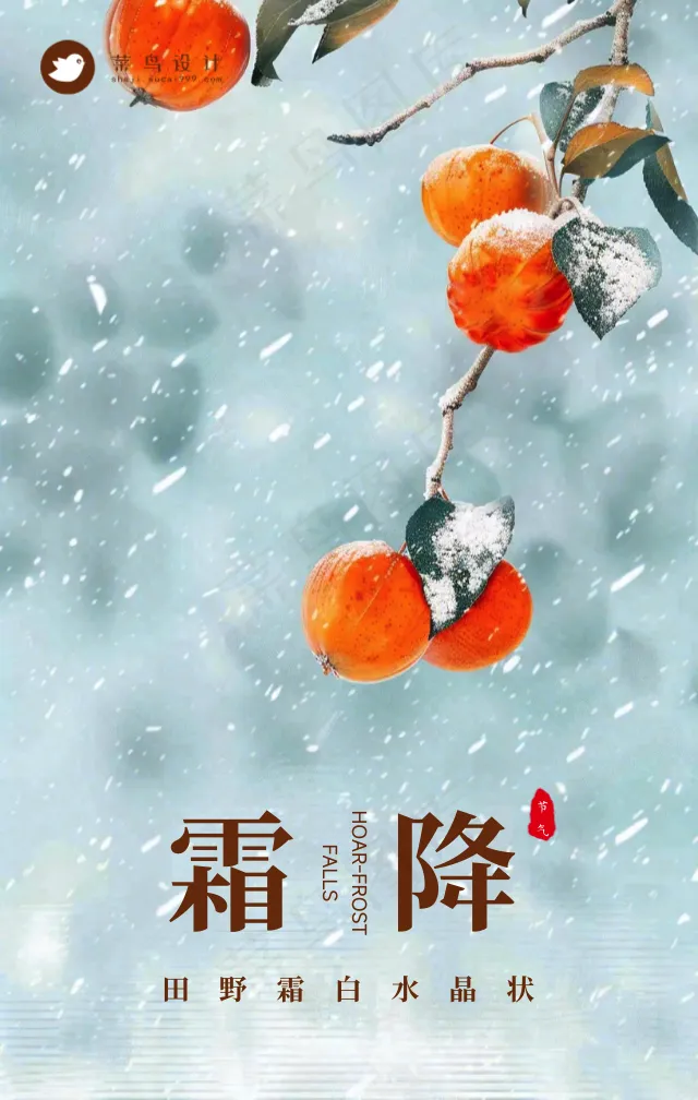 霜降手机海报