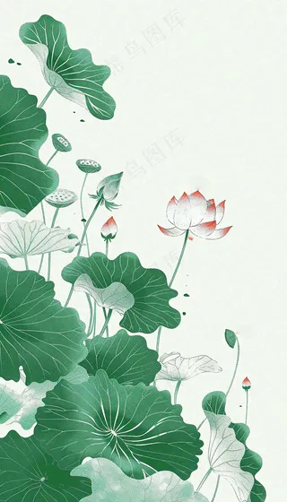 夏天荷花荷叶清凉小清新淡雅小暑大暑处暑插画背景