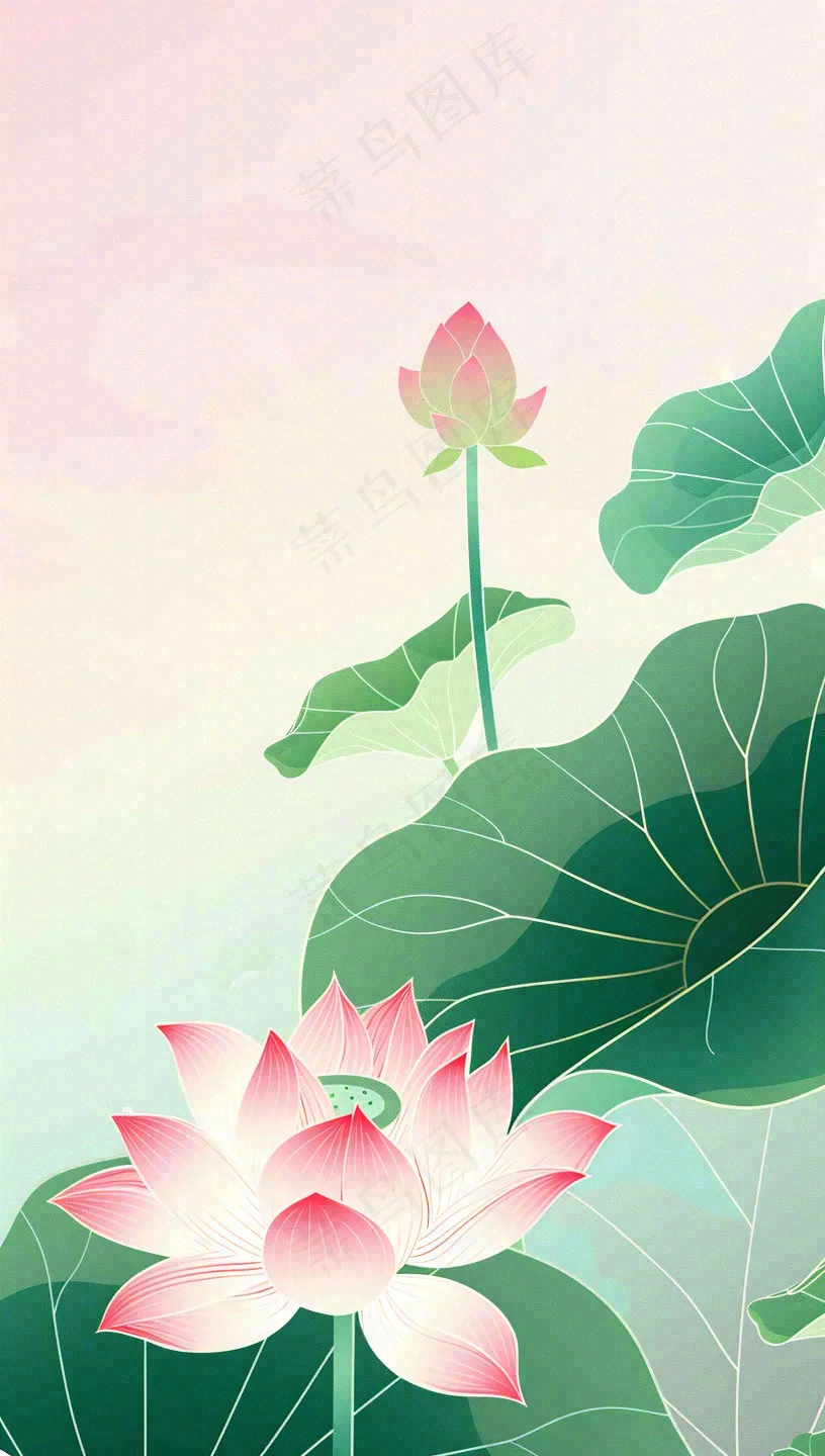 夏天荷花荷叶清凉小清新淡雅立夏夏至暑插画背景