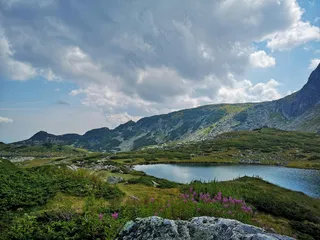 翠绿山谷中的宁静湖泊