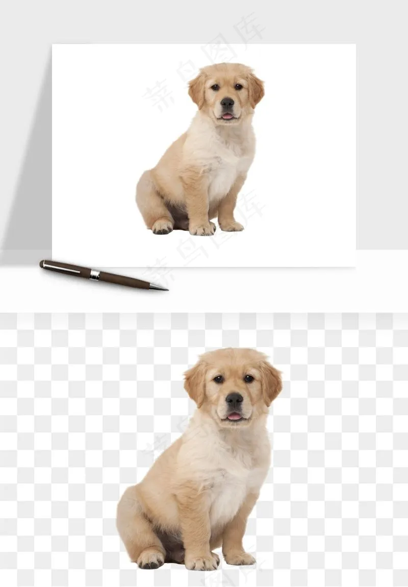 猫咪喵星人狗狗宠物元素png免抠