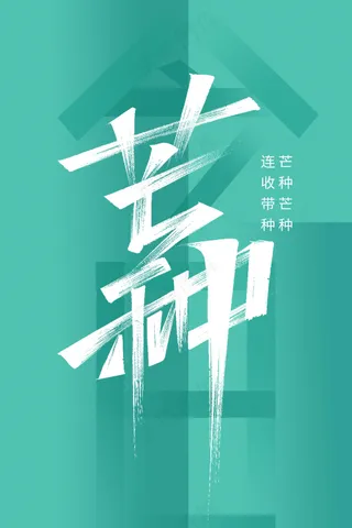 简约芒种节气传统海报