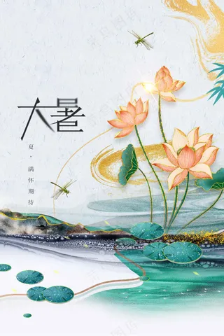 插画复古大暑节气传统活动海报
