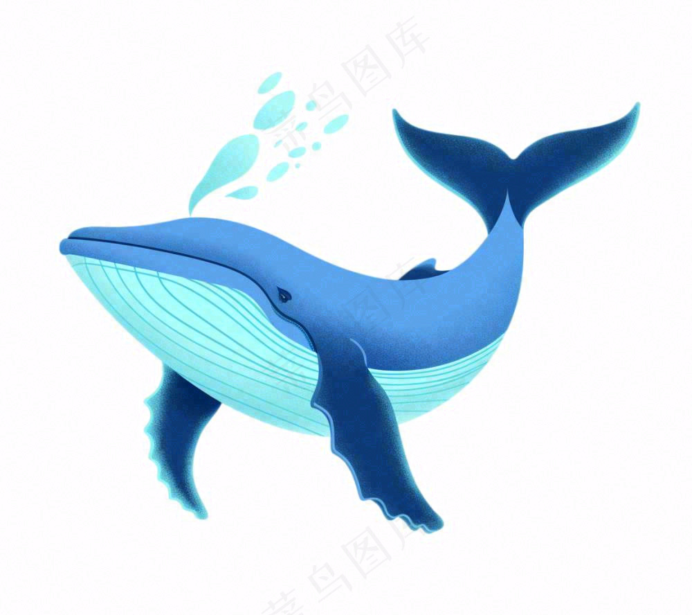 海洋鲸鱼动物卡通插画免抠