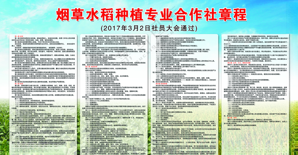 水稻种植专业合作社章程合作社简介专业水稻简介