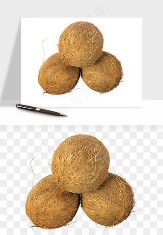椰子椰果水果png免抠