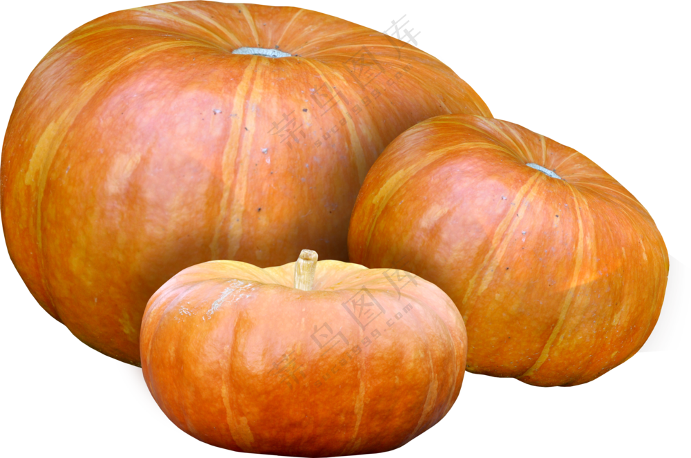 放在一起的三个大南瓜免抠图片素材