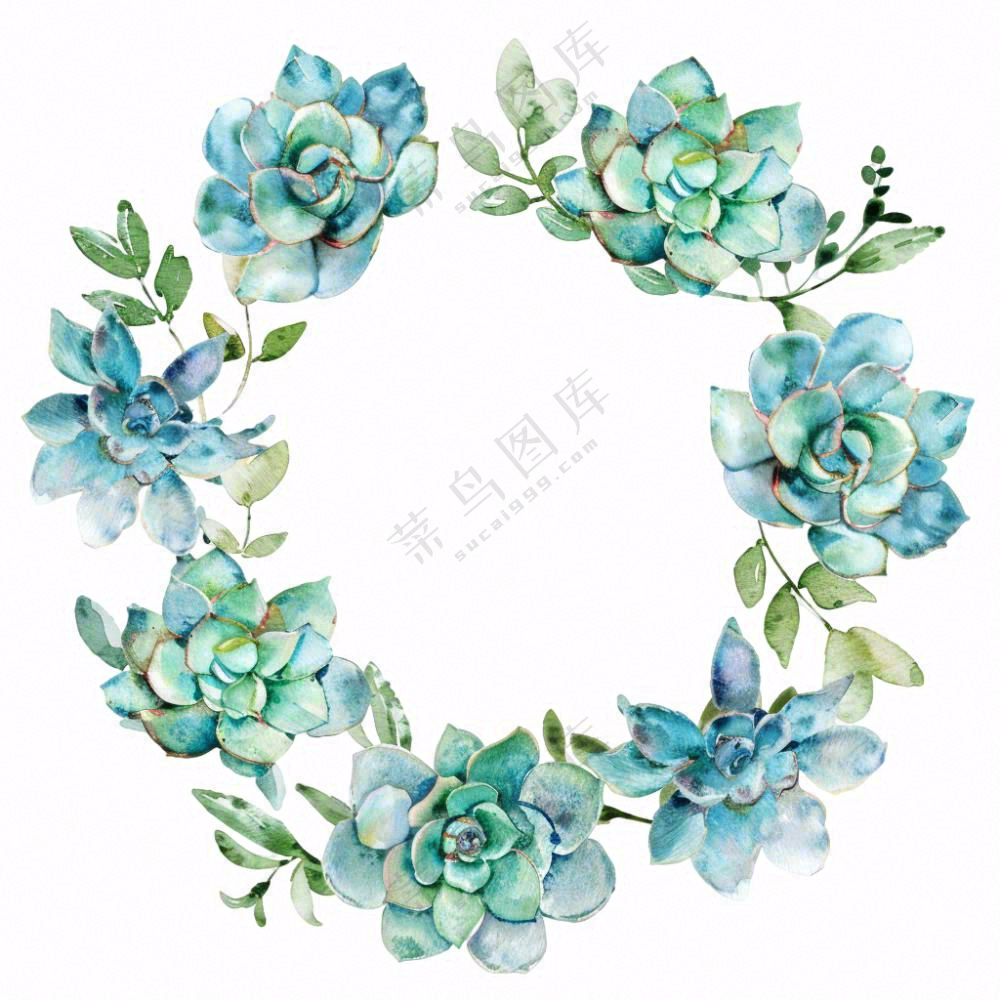 多肉花环水彩插画免抠