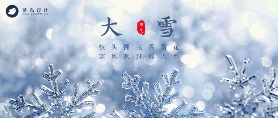 大雪公众号首图